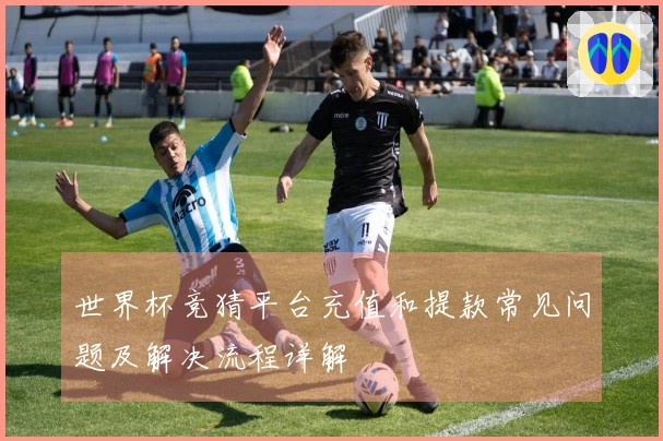 世界杯竞猜平台充值和提款常见问题及解决流程详解