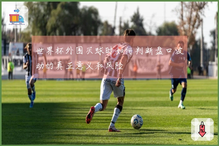 世界杯外围买球时如何判断盘口波动的真正意义和风险ناک؟