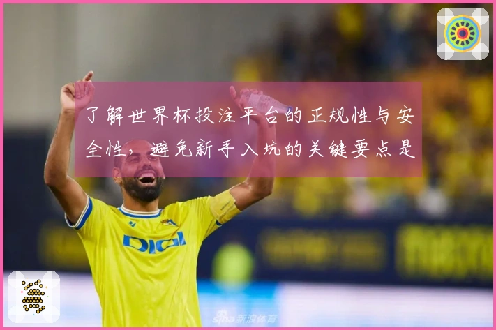 了解世界杯投注平台的正规性与安全性，避免新手入坑的关键要点是什么