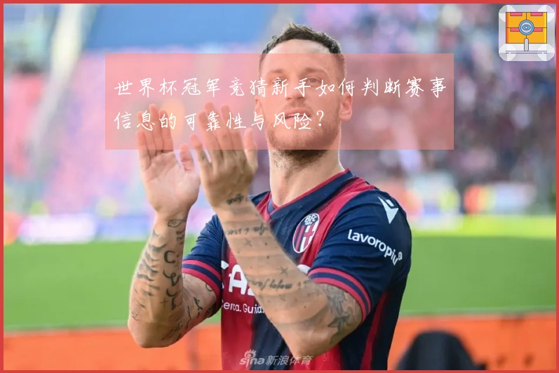 世界杯冠军竞猜新手如何判断赛事信息的可靠性与风险？