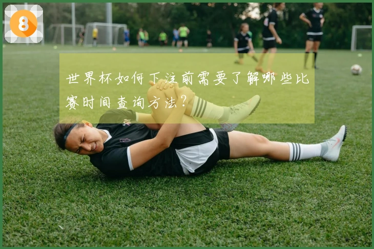 世界杯如何下注前需要了解哪些比赛时间查询方法？