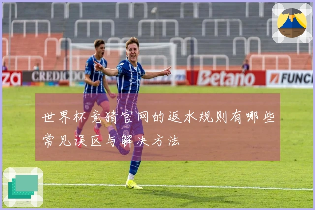 世界杯竞猜官网的返水规则有哪些常见误区与解决方法