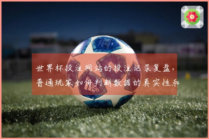 世界杯投注网站的投注记录复盘，普通玩家如何判断数据的真实性和参考价值
