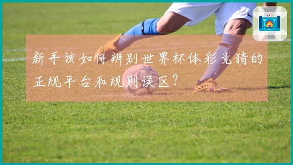 新手该如何辨别世界杯体彩竞猜的正规平台和规则误区？