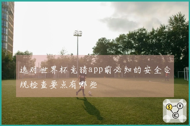 选对世界杯竞猜app前必知的安全合规检查要点有哪些
