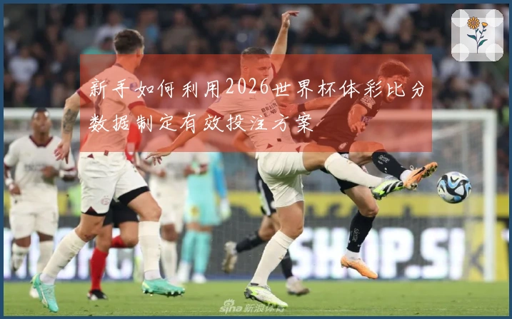新手如何利用2026世界杯体彩比分数据制定有效投注方案