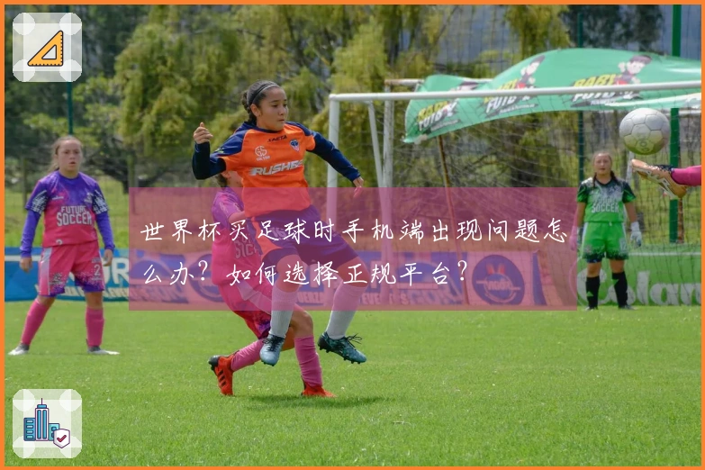世界杯买足球时手机端出现问题怎么办？如何选择正规平台？