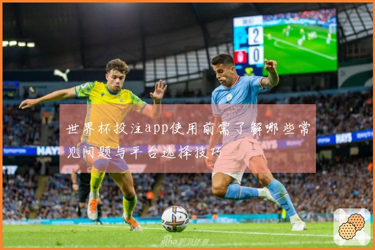 世界杯投注app使用前需了解哪些常见问题与平台选择技巧