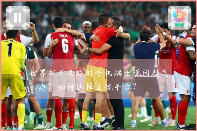 世界杯买足球时手机端出现问题怎么办？如何选择正规平台？