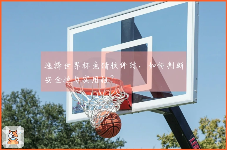 选择世界杯竞猜软件时，如何判断安全性与实用性？