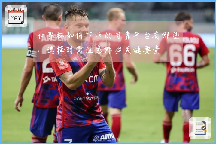 世界杯如何下注的可靠平台有哪些，选择时需注意哪些关键要素