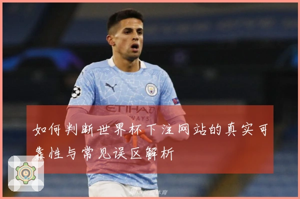 如何判断世界杯下注网站的真实可靠性与常见误区解析