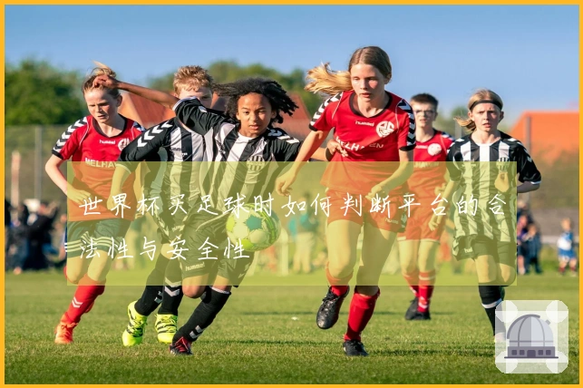 世界杯买足球时如何判断平台的合法性与安全性
