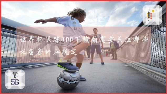 世界杯买球app下载前需要关注哪些必备条件和规定