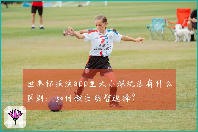 世界杯投注app里大小球玩法有什么区别，如何做出明智选择？