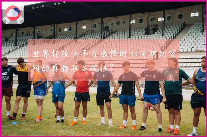 世界杯投注平台选择时如何辨别官网的真假和合规性？
