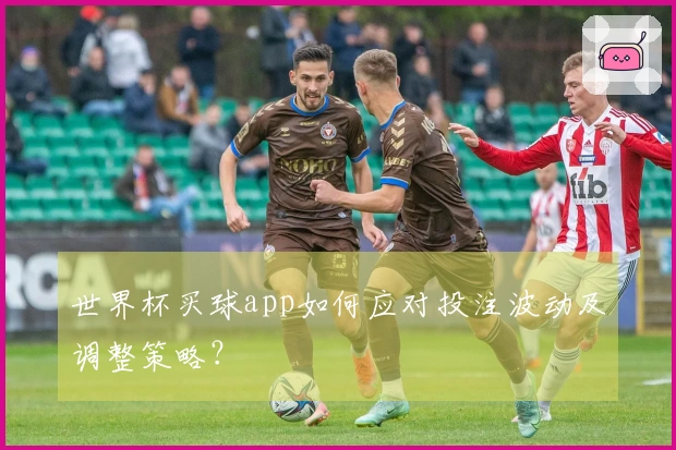 世界杯买球app如何应对投注波动及调整策略？