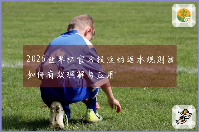2026世界杯官方投注的返水规则该如何有效理解与应用