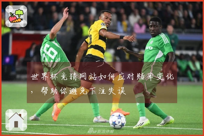 世界杯竞猜网站如何应对赔率变化，帮助你避免下注失误