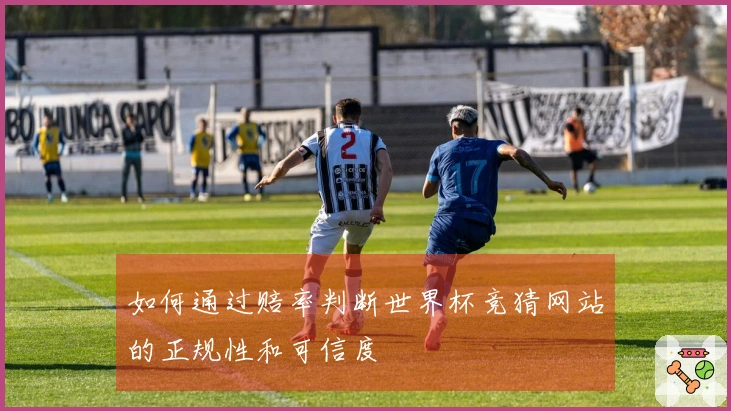 如何通过赔率判断世界杯竞猜网站的正规性和可信度