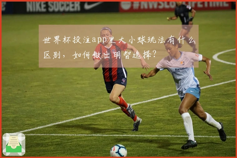 世界杯投注app里大小球玩法有什么区别，如何做出明智选择？