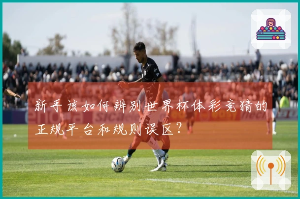 新手该如何辨别世界杯体彩竞猜的正规平台和规则误区？