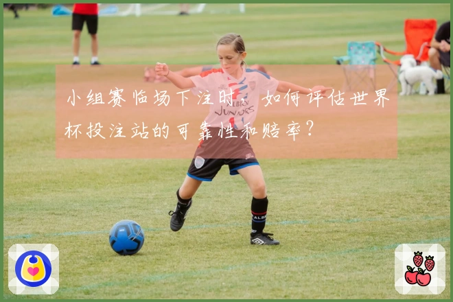 小组赛临场下注时,如何评估世界杯投注站的可靠性和赔率?
