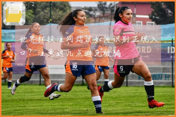 世界杯投注网站该如何识别正规入口？注意这几点避免被骗