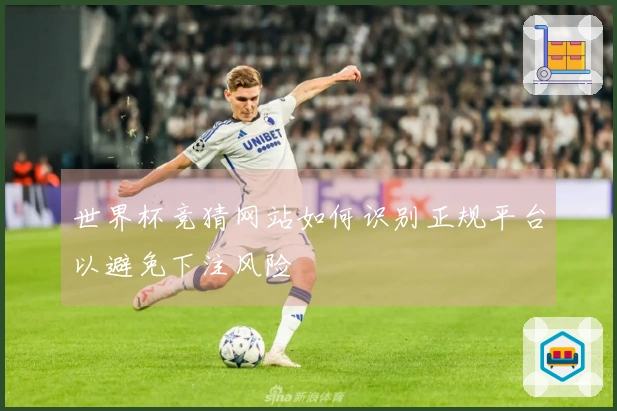 世界杯竞猜网站如何识别正规平台以避免下注风险