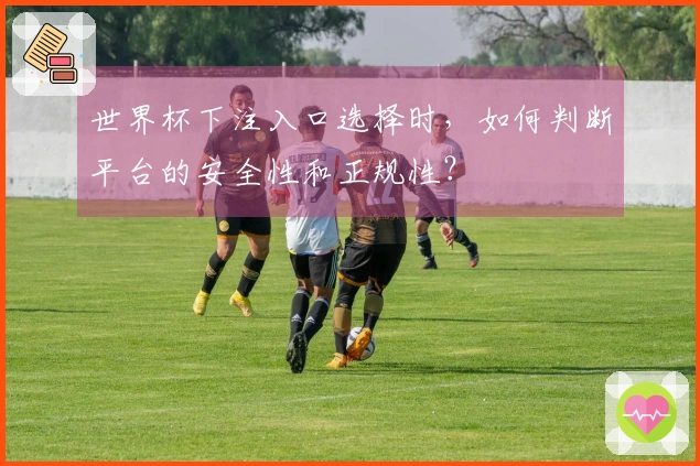 世界杯下注入口选择时，如何判断平台的安全性和正规性？