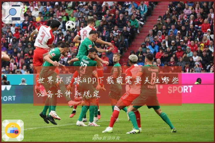 世界杯买球app下载前需要关注哪些必备条件和规定