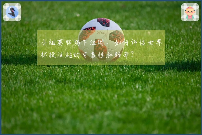 小组赛临场下注时，如何评估世界杯投注站的可靠性和赔率？