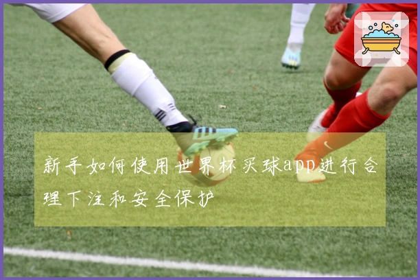 新手如何使用世界杯买球app进行合理下注和安全保护