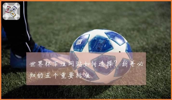 世界杯下注网站如何选择？新手必知的五个重要标准