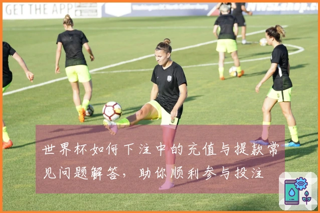 世界杯如何下注中的充值与提款常见问题解答，助你顺利参与投注