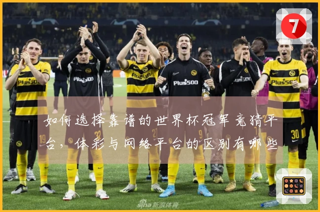 如何选择靠谱的世界杯冠军竞猜平台，体彩与网络平台的区别有哪些？